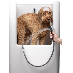 Incredible Dog Shower Nomad: Available Now (S/M)