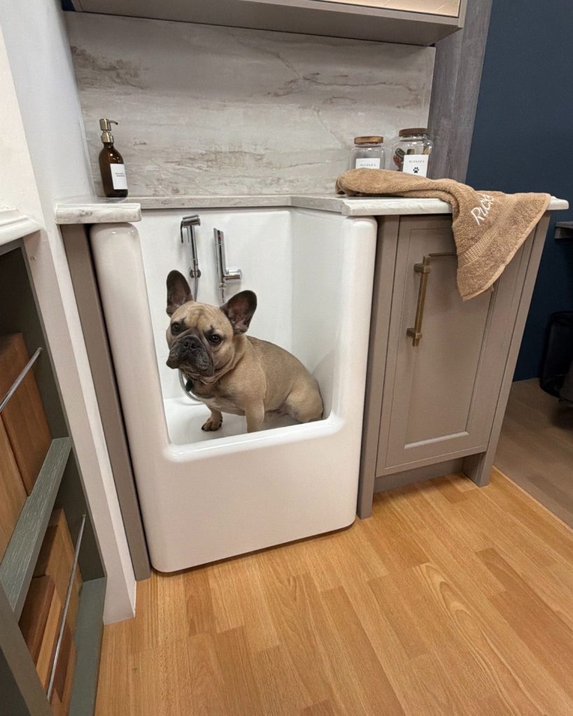 Where to See Our Dog Showers in the UK Dog
