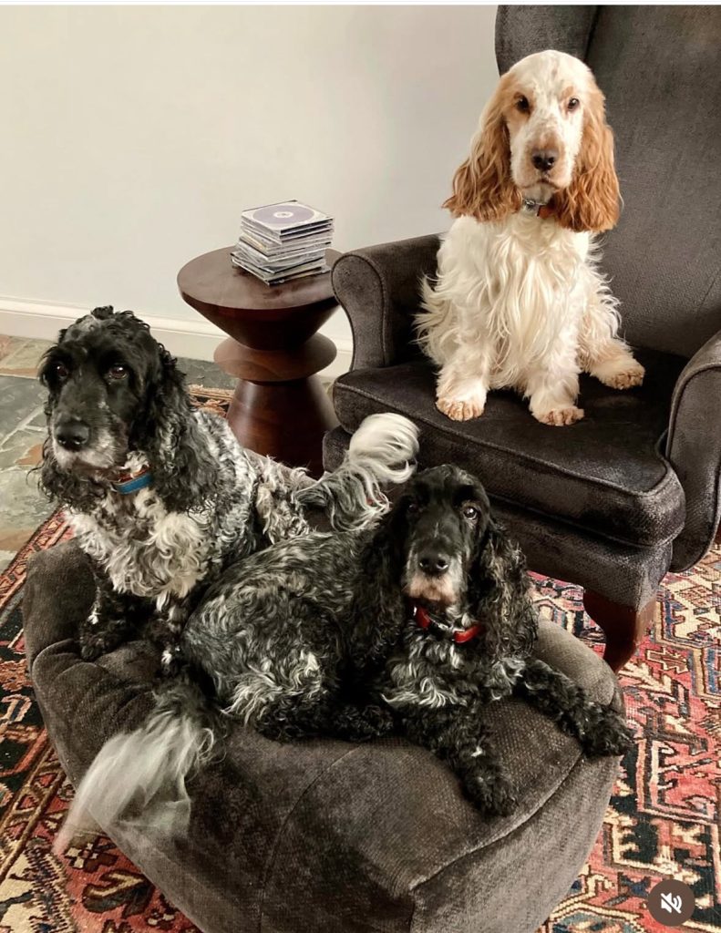 original-16634DD0-6CA3-4778-BE8F-9D8C6291DBF7