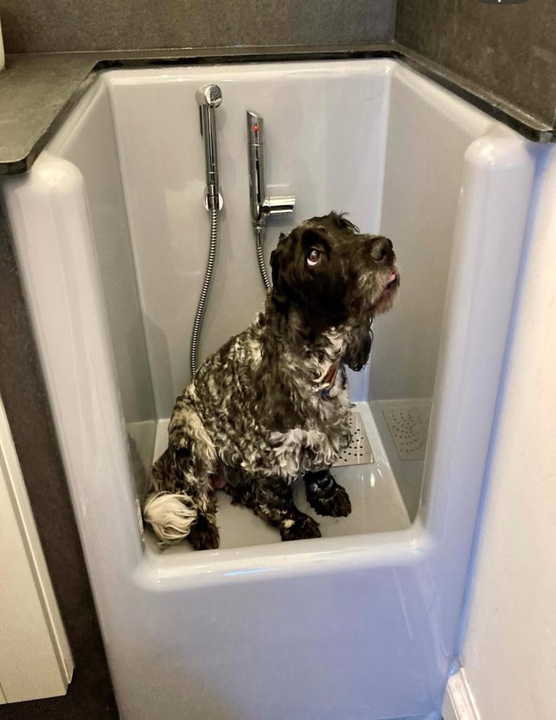 original-367AB298-A836-40BA-B862-23F86B80A4AB