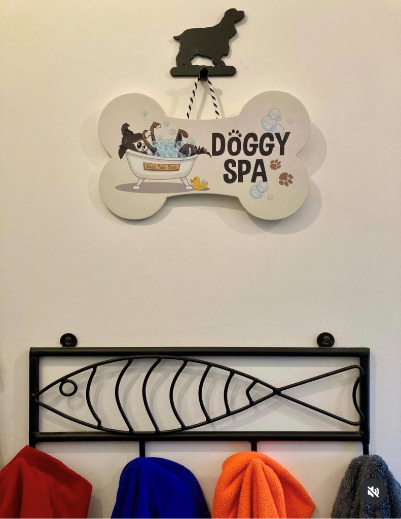 original-BCA35B75-C1EB-44BA-86C6-16A416200803