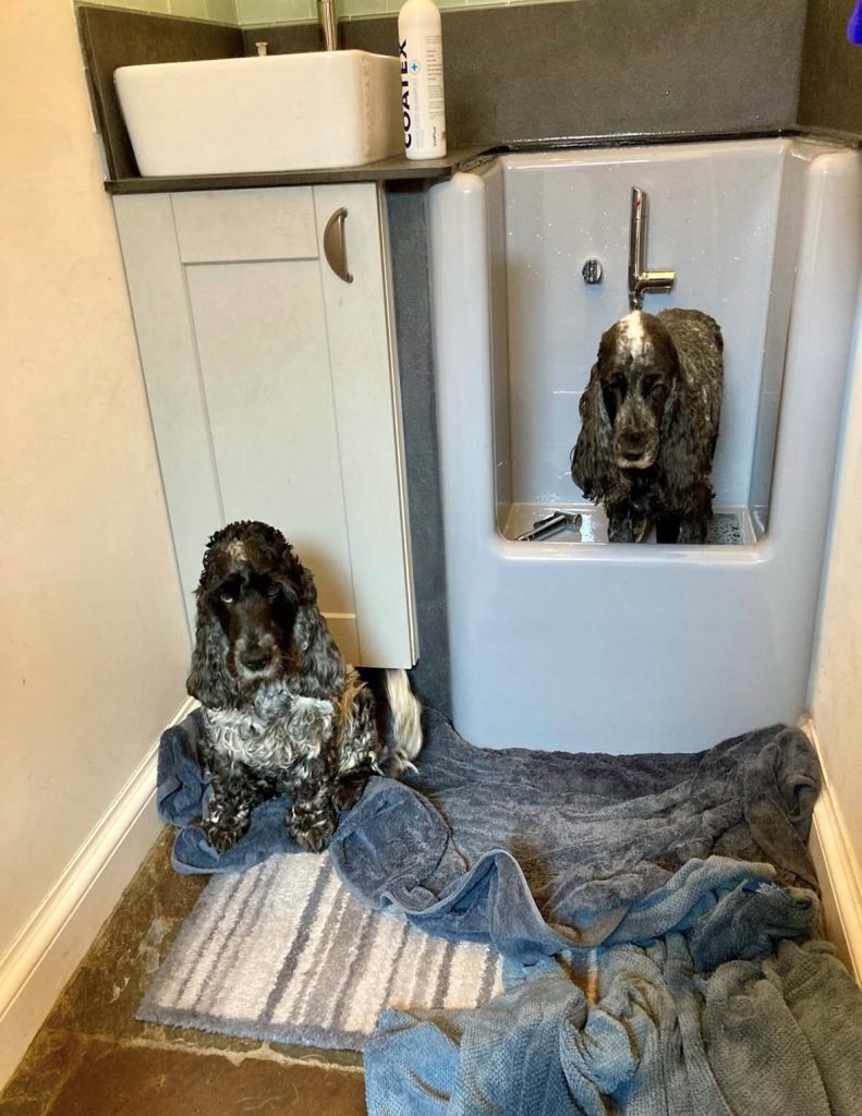 original-C3F16804-D942-4EC1-B9E4-48C2CF7ECF3C