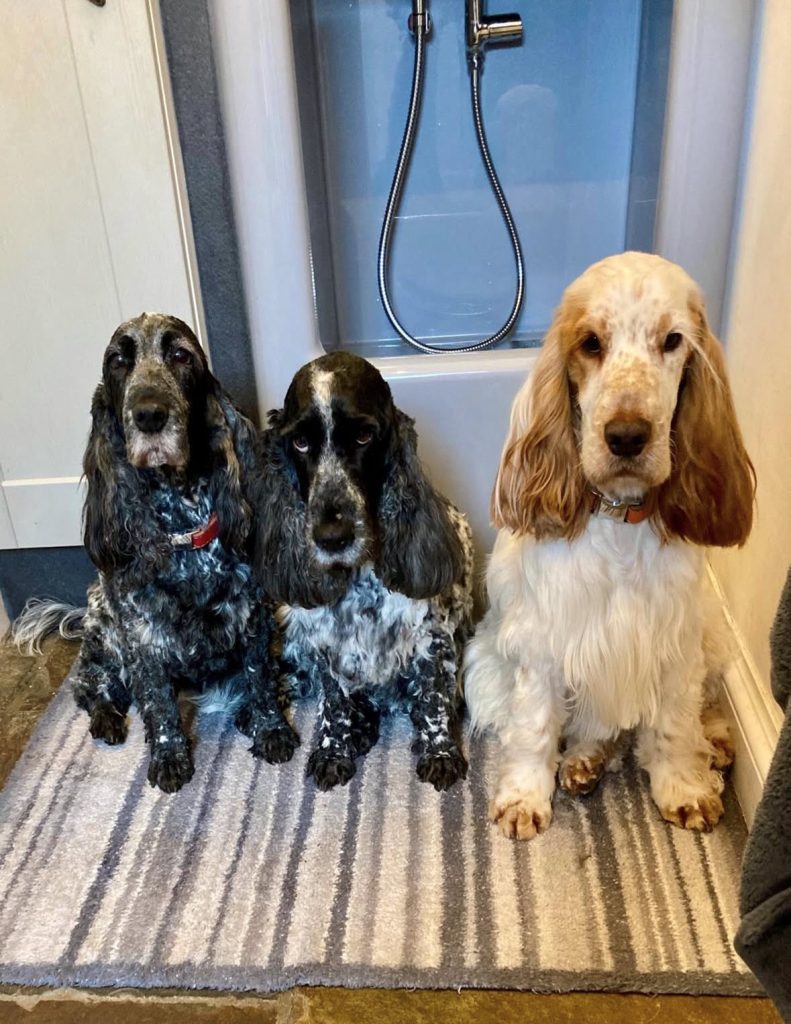 original-F7C18B81-715C-41D3-A83C-DBEFF253A7EF