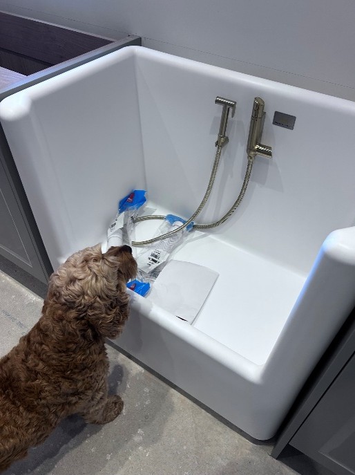 Dog Shower